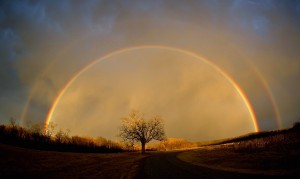 doublerainbow